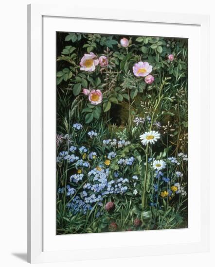 Wild Roses, Forget-Me-Nots and Daisies-Otto Franz Scholderer-Framed Giclee Print