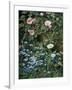 Wild Roses, Forget-Me-Nots and Daisies-Otto Franz Scholderer-Framed Giclee Print