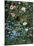 Wild Roses, Forget-Me-Nots and Daisies-Otto Franz Scholderer-Mounted Giclee Print