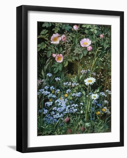 Wild Roses, Forget-Me-Nots and Daisies-Otto Franz Scholderer-Framed Giclee Print