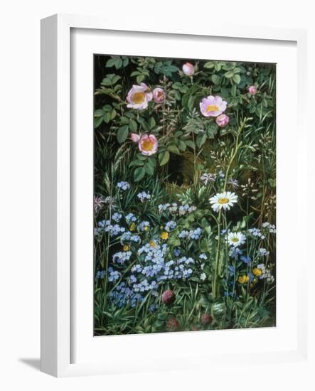 Wild Roses, Forget-Me-Nots and Daisies-Otto Franz Scholderer-Framed Giclee Print