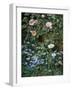 Wild Roses, Forget-Me-Nots and Daisies-Otto Franz Scholderer-Framed Giclee Print