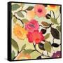 Wild Roses-Kim Parker-Framed Stretched Canvas