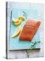 Wild Salmon Fillet with Lemon and Rosemary-Matthias Hoffmann-Stretched Canvas