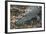 Wild Saltwater Crocodile (Crocodylus Porosus) on the Banks of the Hunter River-Michael Nolan-Framed Photographic Print