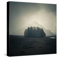 Wild Scotland-Doug Chinnery-Stretched Canvas