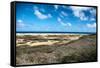 Wild Seaside Landscape with Sea and Blue Sky of Aruba in the Caribbean-PlusONE-Framed Stretched Canvas