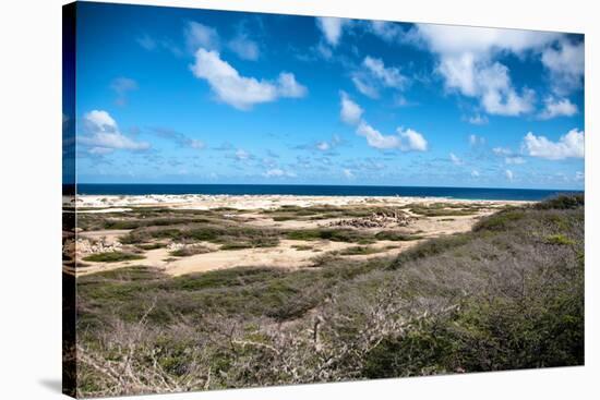 Wild Seaside Landscape with Sea and Blue Sky of Aruba in the Caribbean-PlusONE-Stretched Canvas