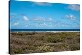 Wild Seaside Landscape with Sea and Blue Sky of Aruba in the Caribbean-PlusONE-Stretched Canvas