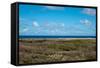 Wild Seaside Landscape with Sea and Blue Sky of Aruba in the Caribbean-PlusONE-Framed Stretched Canvas