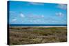 Wild Seaside Landscape with Sea and Blue Sky of Aruba in the Caribbean-PlusONE-Stretched Canvas