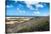 Wild Seaside Landscape with Sea and Blue Sky of Aruba in the Caribbean-PlusONE-Stretched Canvas