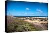 Wild Seaside Landscape with Sea and Blue Sky of Aruba in the Caribbean-PlusONE-Stretched Canvas