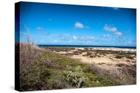 Wild Seaside Landscape with Sea and Blue Sky of Aruba in the Caribbean-PlusONE-Stretched Canvas