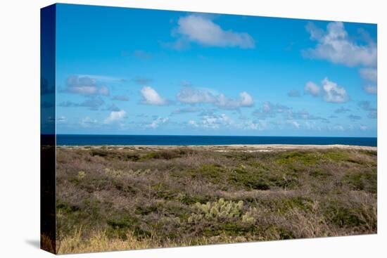 Wild Seaside Landscape with Sea and Blue Sky of Aruba in the Caribbean-PlusONE-Stretched Canvas