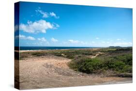 Wild Seaside Landscape with Sea and Blue Sky of Aruba in the Caribbean-PlusONE-Stretched Canvas