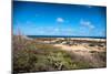 Wild Seaside Landscape with Sea and Blue Sky of Aruba in the Caribbean-PlusONE-Mounted Photographic Print