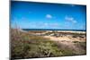 Wild Seaside Landscape with Sea and Blue Sky of Aruba in the Caribbean-PlusONE-Mounted Photographic Print