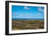 Wild Seaside Landscape with Sea and Blue Sky of Aruba in the Caribbean-PlusONE-Framed Photographic Print