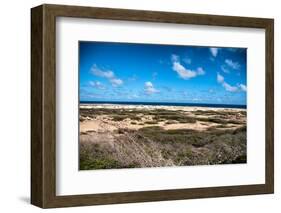 Wild Seaside Landscape with Sea and Blue Sky of Aruba in the Caribbean-PlusONE-Framed Photographic Print