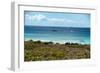 Wild Seaside Landscape with Sea and Blue Sky of Aruba in the Caribbean-PlusONE-Framed Photographic Print