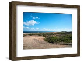 Wild Seaside Landscape with Sea and Blue Sky of Aruba in the Caribbean-PlusONE-Framed Photographic Print