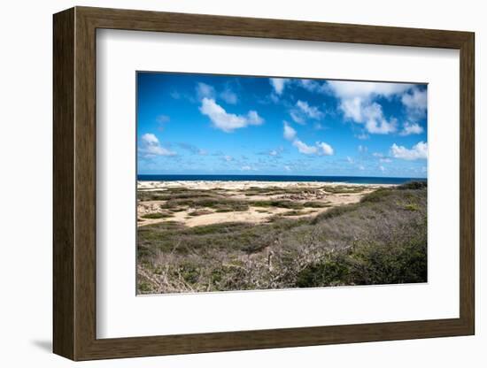 Wild Seaside Landscape with Sea and Blue Sky of Aruba in the Caribbean-PlusONE-Framed Photographic Print