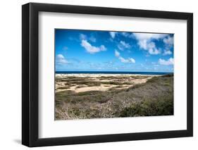 Wild Seaside Landscape with Sea and Blue Sky of Aruba in the Caribbean-PlusONE-Framed Photographic Print