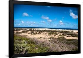 Wild Seaside Landscape with Sea and Blue Sky of Aruba in the Caribbean-PlusONE-Framed Photographic Print