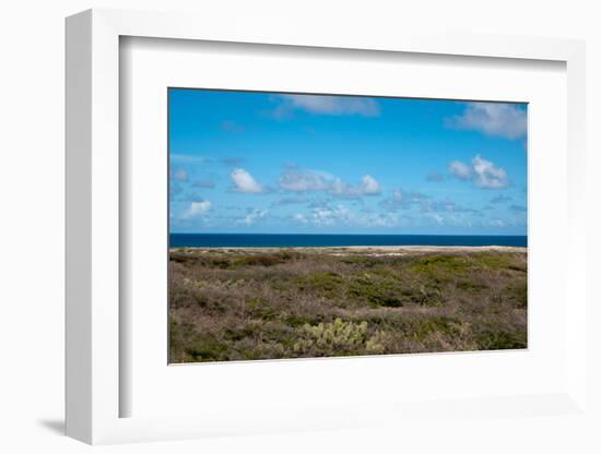 Wild Seaside Landscape with Sea and Blue Sky of Aruba in the Caribbean-PlusONE-Framed Photographic Print