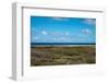 Wild Seaside Landscape with Sea and Blue Sky of Aruba in the Caribbean-PlusONE-Framed Photographic Print