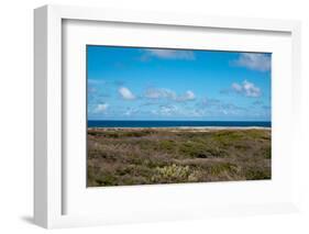 Wild Seaside Landscape with Sea and Blue Sky of Aruba in the Caribbean-PlusONE-Framed Photographic Print