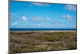Wild Seaside Landscape with Sea and Blue Sky of Aruba in the Caribbean-PlusONE-Mounted Photographic Print