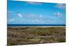 Wild Seaside Landscape with Sea and Blue Sky of Aruba in the Caribbean-PlusONE-Mounted Photographic Print