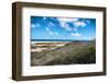 Wild Seaside Landscape with Sea and Blue Sky of Aruba in the Caribbean-PlusONE-Framed Photographic Print