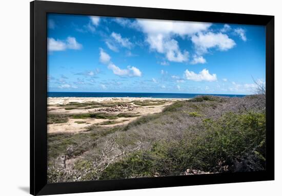 Wild Seaside Landscape with Sea and Blue Sky of Aruba in the Caribbean-PlusONE-Framed Photographic Print