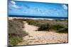 Wild Seaside Landscape with Sea and Blue Sky of Aruba in the Caribbean-PlusONE-Mounted Photographic Print