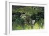 Wild Seating-Mike Toy-Framed Giclee Print