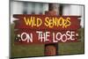 Wild Seniors-rkasprzak-Mounted Photographic Print