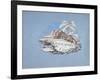 Wild Sports of the East-null-Framed Giclee Print