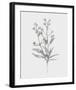 Wild Stem I-Annie Warren-Framed Art Print