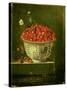 Wild Strawberries in a Chinese Wanli Kraak Porcelain Bowl, 1704-Adrian Coorte-Stretched Canvas