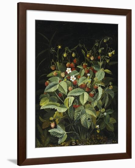 Wild Strawberries-Otto Diderich Ottesen-Framed Giclee Print