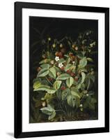 Wild Strawberries-Otto Diderich Ottesen-Framed Giclee Print