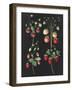 Wild Strawberries-Wild Apple Portfolio-Framed Art Print