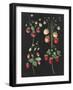 Wild Strawberries-Wild Apple Portfolio-Framed Art Print
