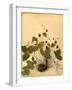 Wild Strawberry Flowers, 1870s-Pietro Guidi-Framed Giclee Print