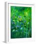 Wild Summer Flowers-Pol Ledent-Framed Art Print