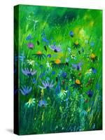 Wild Summer Flowers-Pol Ledent-Stretched Canvas