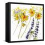 Wild Sunflowers and Lupine-Shirley Novak-Framed Stretched Canvas